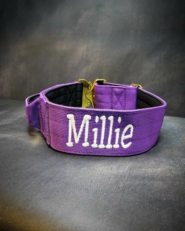 🔮 Millie 🔮

➖Font: Varsity 
➖Colour: Metallic Gold⁠
➖Collar: 5cm Purple Gold Series⁠⁠
⁠
⚜️ Regal Dog - The Luxury Dog Brand ⚜️⁠
⁠
🛒 Shop Now: REGALDOG.CO.UK⁠
⁠
➡️ #RegalDog⁠ #MyRegalDog⁠
#LuxuryDogCollars #DogCollars #DogChains #DogAccessories #LuxuryDog #Dog #RegalDogpersonalised
