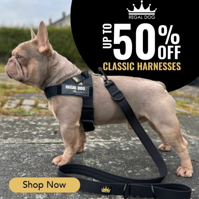 Grab up to 50% off our harnesses 🥳

For a short while only, you can get up to 50% off your favourite Regal Dog harnesses 🐶👑

Order today whilst stocks last 👇
https://www.regaldog.co.uk/product-category/tactical/tactical-harnesses/