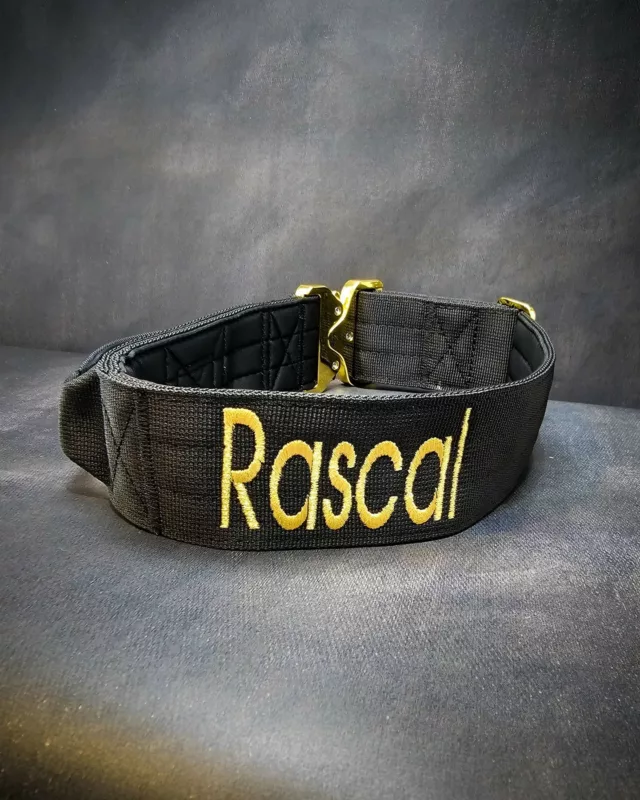 💣 Rascal 💣

➖Font: Avante
➖Colour: Metallic Gold⁠
➖Collar: 5cm Black Gold Series⁠⁠
⁠
⚜️ Regal Dog - The Luxury Dog Brand ⚜️⁠
⁠
🛒 Shop Now: REGALDOG.CO.UK⁠
⁠
➡️ #RegalDog⁠ #MyRegalDog⁠
#LuxuryDogCollars #DogCollars #DogChains #DogAccessories #LuxuryDog #Dog #RegalDogpersonalised