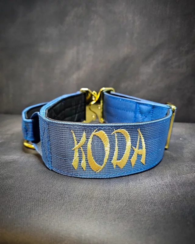 Koda 
➖Font: Oriental 
➖Colour: Metallic Gold⁠
➖Collar: 5cm Ocean Blue Gold Series⁠⁠
⁠
⚜️ Regal Dog - The Luxury Dog Brand ⚜️⁠
⁠
🛒 Shop Now: REGALDOG.CO.UK⁠
⁠
➡️ #RegalDog⁠ #MyRegalDog⁠
#LuxuryDogCollars #DogCollars #DogChains #DogAccessories #LuxuryDog #Dog #RegalDogpersonalised