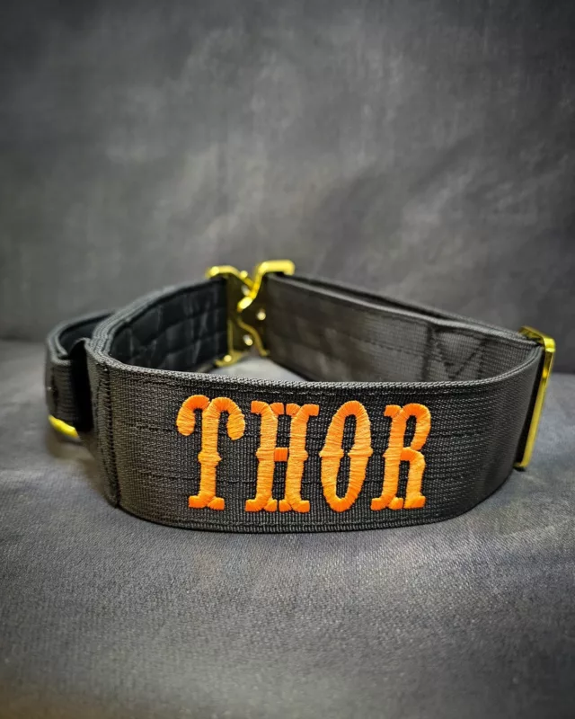 🔨 Thor 🔨 

➖Font: saloon 
➖Colour: Orange 
➖Collar: 5cm Black Gold Series⁠⁠
⁠
⚜️ Regal Dog - The Luxury Dog Brand ⚜️⁠
⁠
🛒 Shop Now: REGALDOG.CO.UK⁠
⁠
➡️ #RegalDog⁠ #MyRegalDog⁠
#LuxuryDogCollars #DogCollars #DogChains #DogAccessories #LuxuryDog #Dog #RegalDogpersonalised