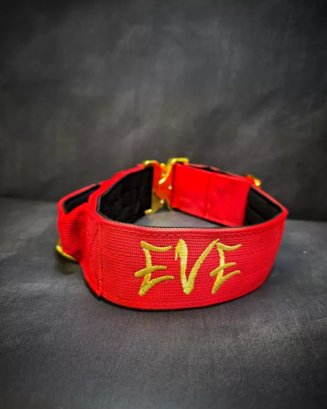 🔥Eve 🔥⁠
⁠
➖Font: Shout Out⁠
➖Colour: Metallic Gold⁠
➖Collar: 5cm Red Gold Series⁠⁠
⁠
⚜️ Regal Dog - The Luxury Dog Brand ⚜️⁠
⁠
🛒 Shop Now: REGALDOG.CO.UK⁠
⁠
➡️ #RegalDog⁠ #MyRegalDog⁠
#LuxuryDogCollars #DogCollars #DogChains #DogAccessories #LuxuryDog #Dog #RegalDogpersonalised