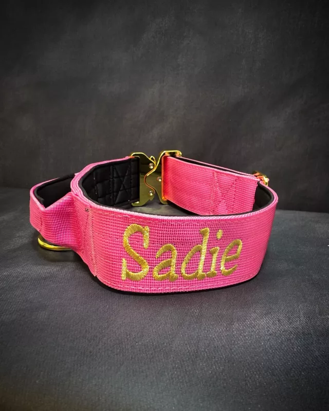 We love seeing the colour combinations that you choose 👏🏻🔥

⚜️ Regal Dog - The Luxury Dog Brand ⚜️⁠
⁠
🛒 Shop Now: REGALDOG.CO.UK⁠
⁠
➡️ #RegalDog⁠ #MyRegalDog⁠
#LuxuryDogCollars #DogCollars #DogChains #DogAccessories #LuxuryDog #Dog #RegalDogpersonalised