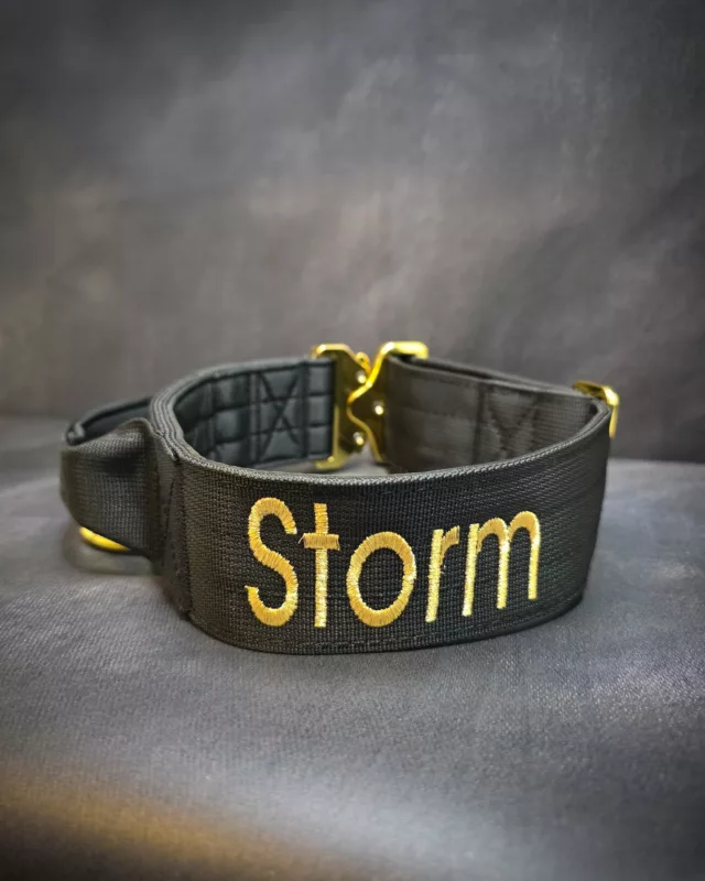 Our Black Gold Series Range + Embroidery is extremely popular at that moment 🔥 👑 

⚜️ Regal Dog - The Luxury Dog Brand ⚜️⁠
⁠
🛒 Shop Now: REGALDOG.CO.UK⁠
⁠
➡️ #RegalDog⁠ #MyRegalDog⁠
#LuxuryDogCollars #DogCollars #DogChains #DogAccessories #LuxuryDog #Dog #RegalDogpersonalised